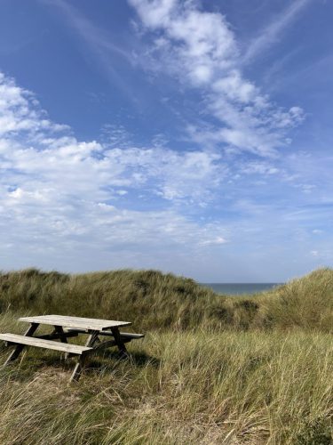 daenemark_Strandhaus-Rylereden_28