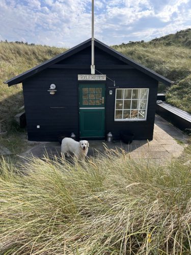 daenemark_Strandhaus-Rylereden_31