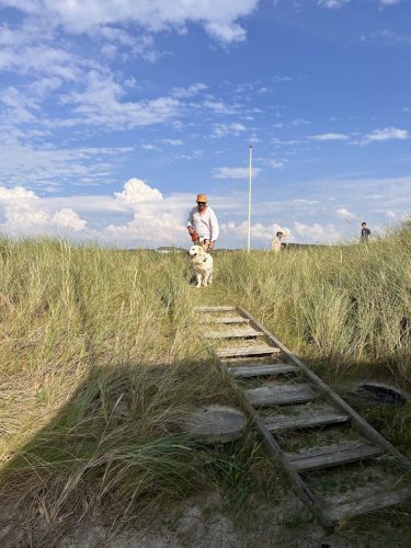 daenemark_Strandhaus-Rylereden_34