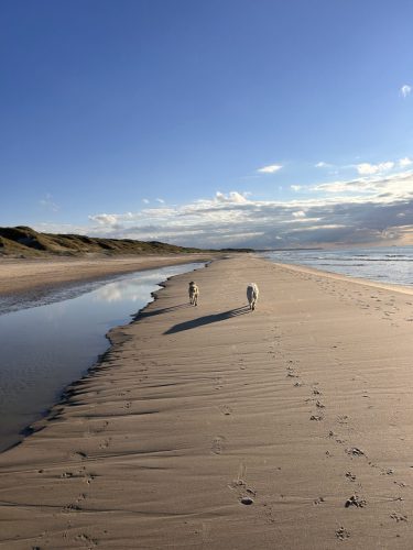 daenemark_Strandhaus-Rylereden_47