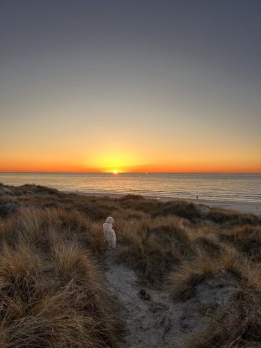 daenemark_Strandhaus-Rylereden_75