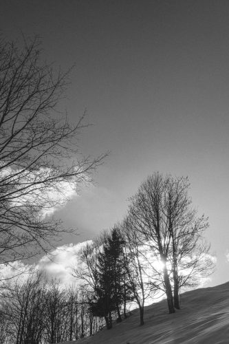 schwarzwald_106