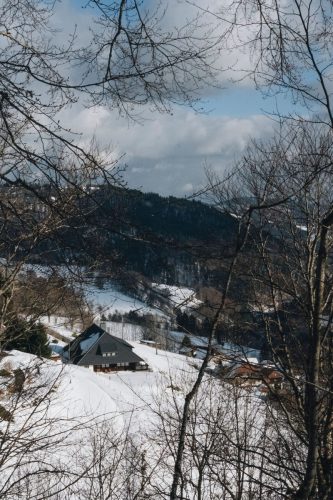 schwarzwald_110