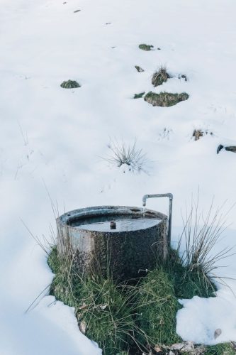 schwarzwald_111