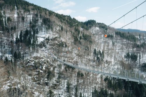 schwarzwald_133