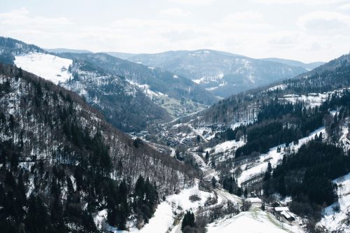 schwarzwald_134