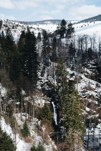 schwarzwald_135