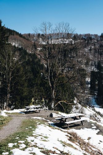 schwarzwald_137
