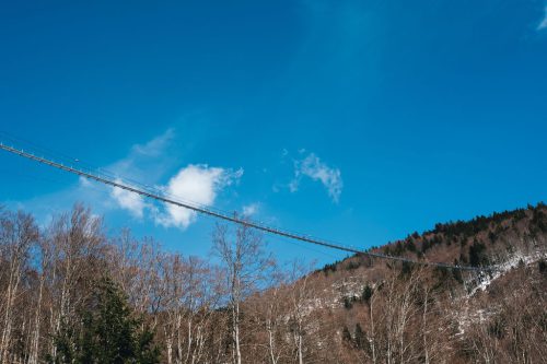 schwarzwald_138