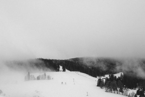 schwarzwald_156