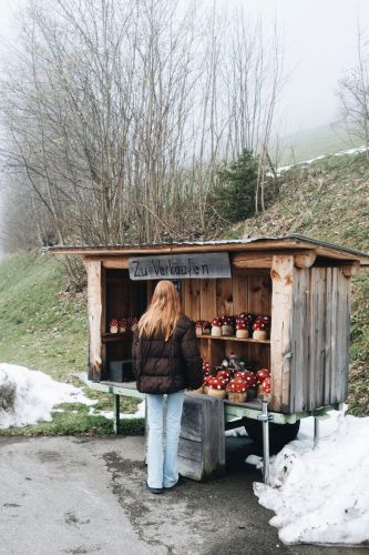 schwarzwald_161