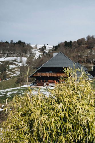schwarzwald_177