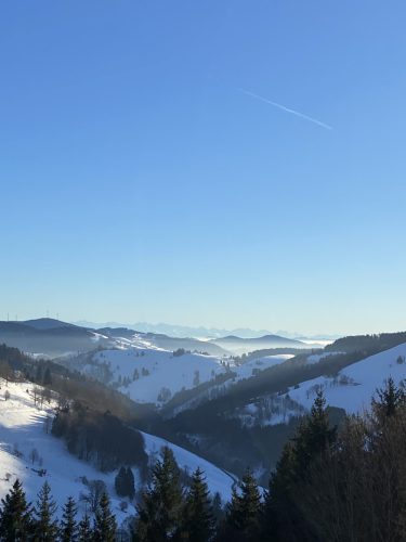 schwarzwald_33